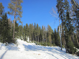 Лыжное двоеборье "Аист", Нижний Тагил